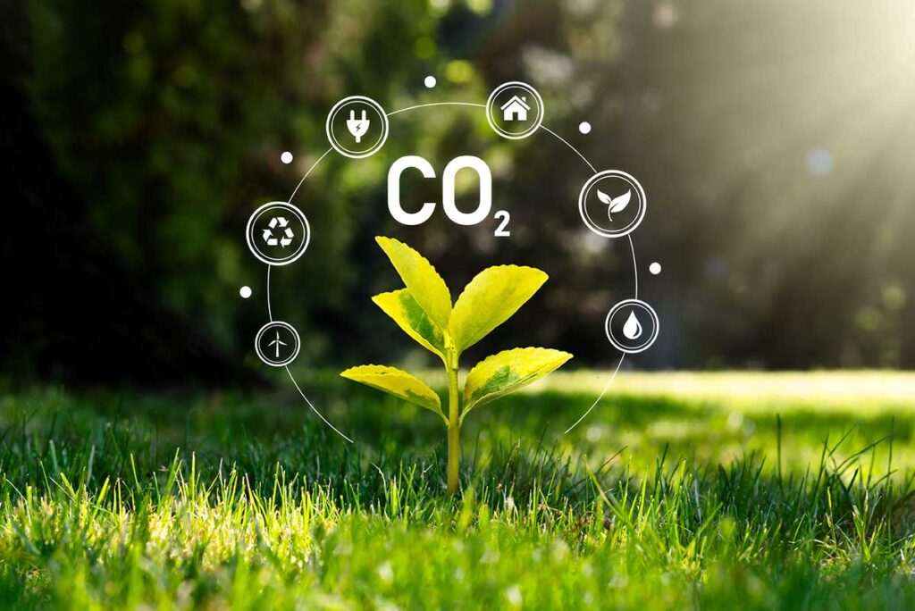 Additional CO2 Savings Using Other Pulmac Services
